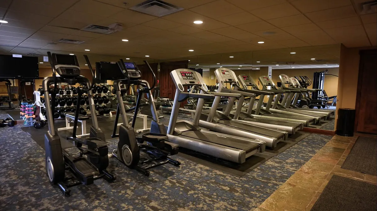 A bright, energetic gym space featuring treadmills, ellipticals, dumbbells, and mirrored walls. The arrangement is spacious, well-lit, and designed for a range of workouts from cardio to strength training. The environment encourages both individual exercise and group fitness classes.